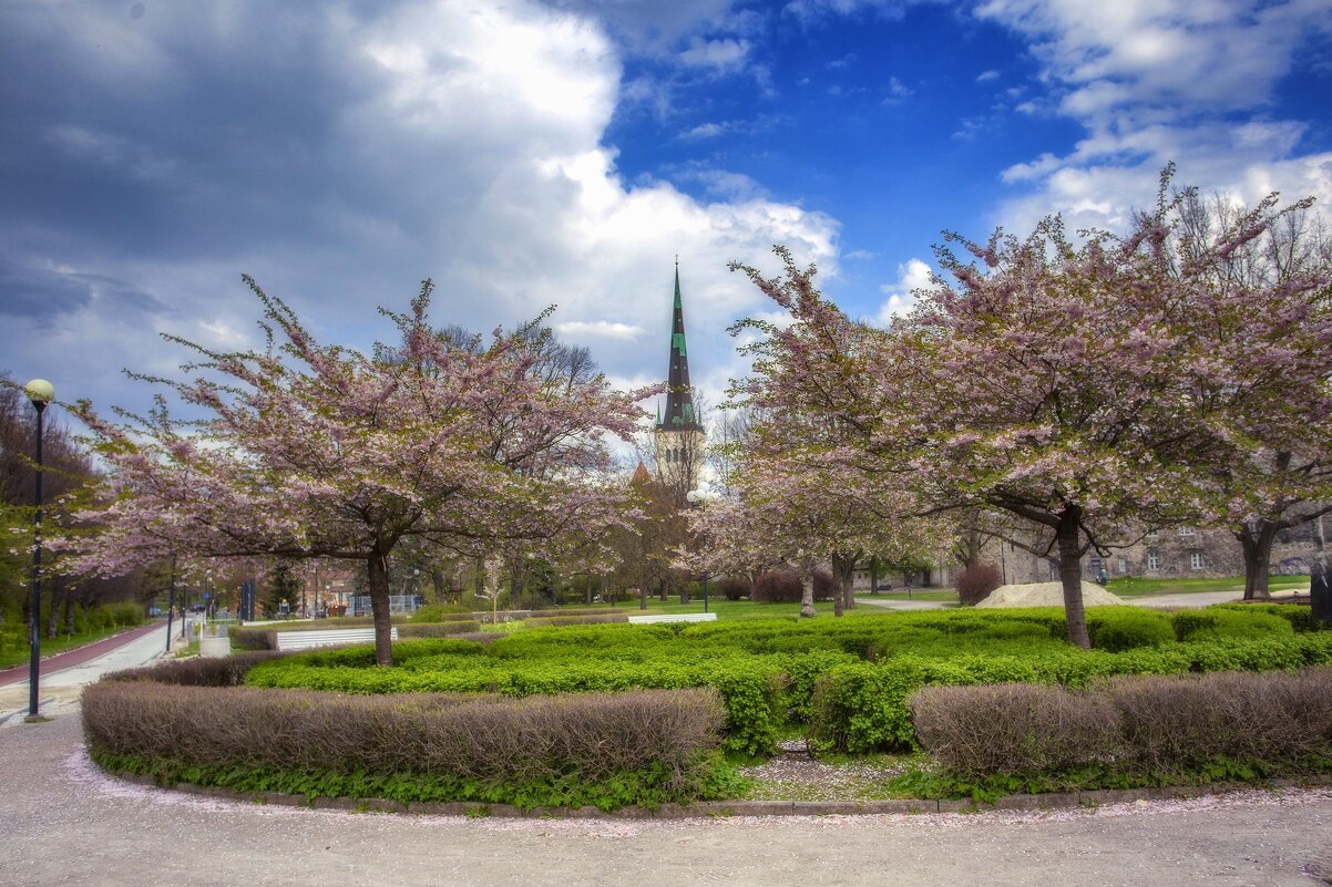 Весна в Таллине - Aare Treiel Весна в Таллине - Aare Treiel
