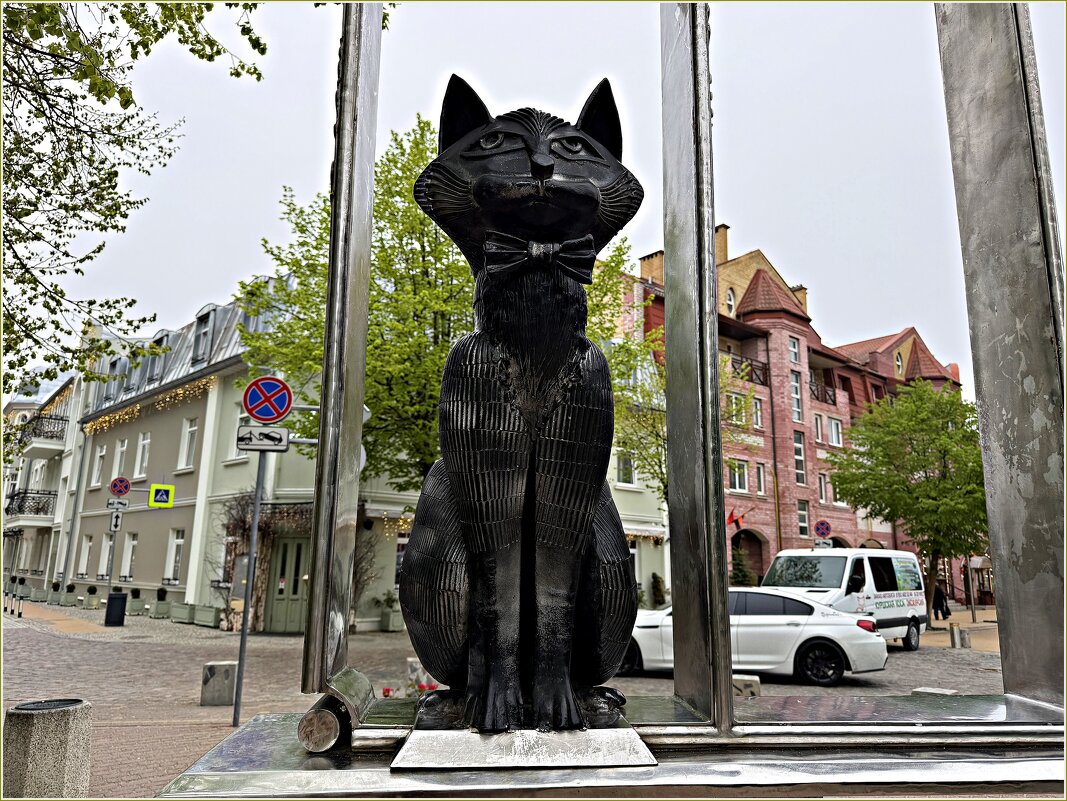 Кот у музея котов и кошек "Мурариум". - Валерия Комова