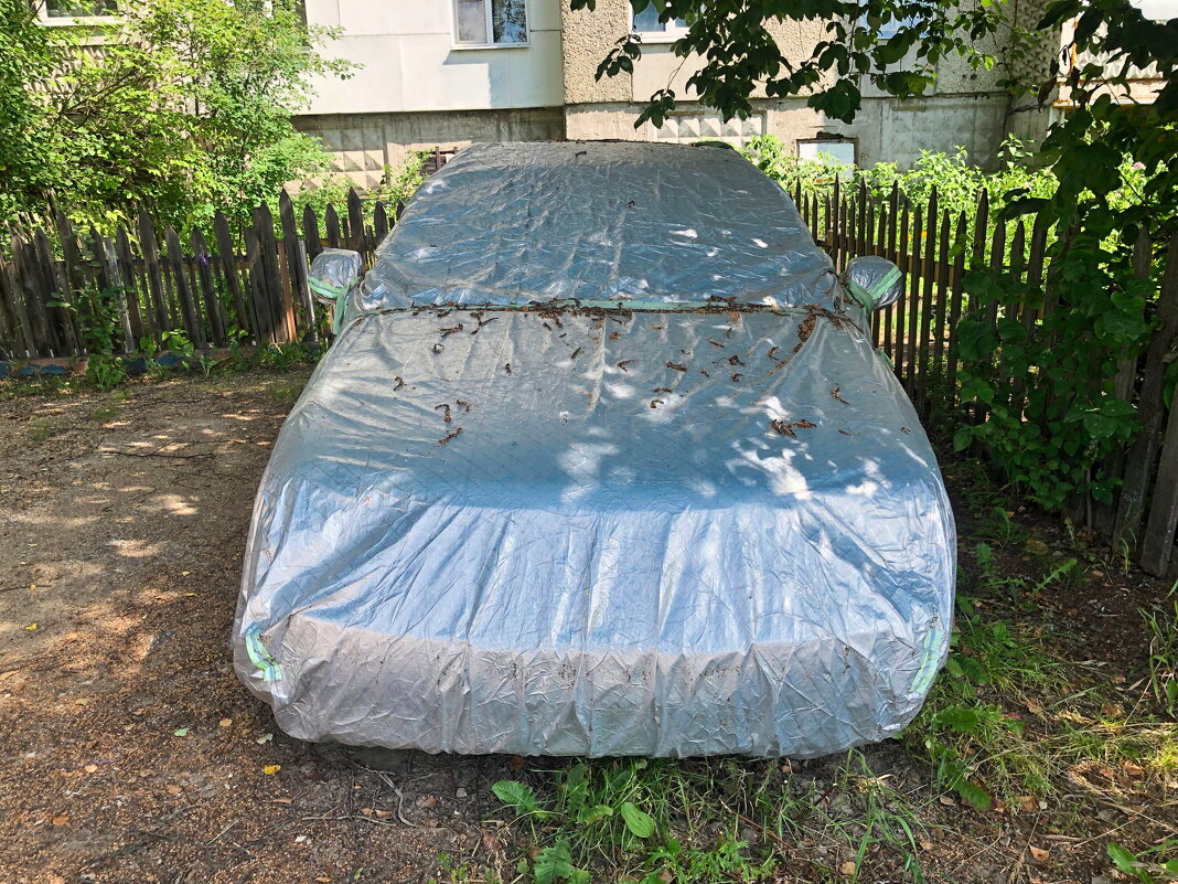 ... - Денис Безногов