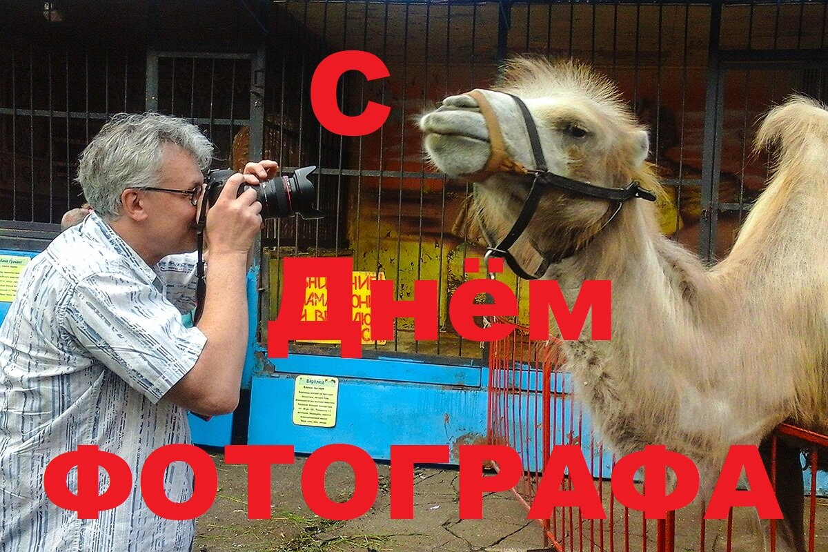 С Днём фотографа! - Сергей Сомихин С Днём фотографа! - Сергей Сомихин