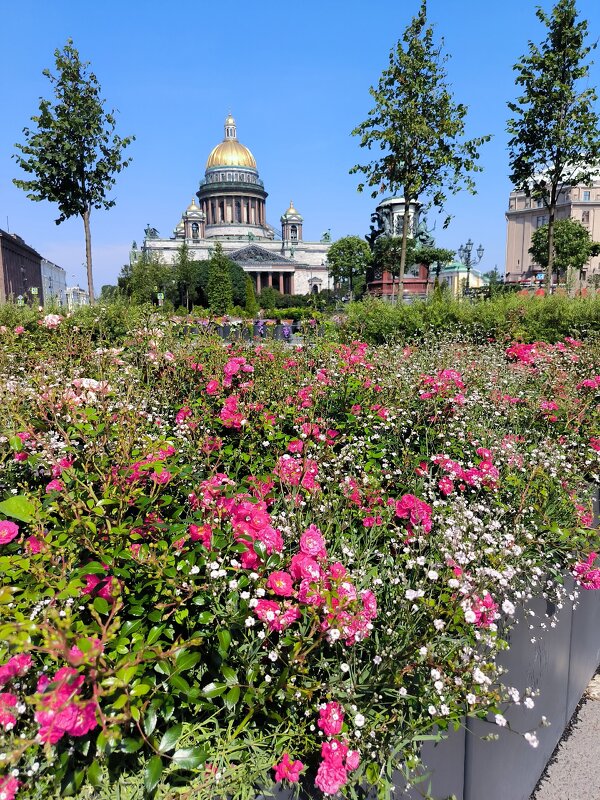 Сад-трансформер на Синем мосту. - Ольга Сад-трансформер на Синем мосту. - Ольга