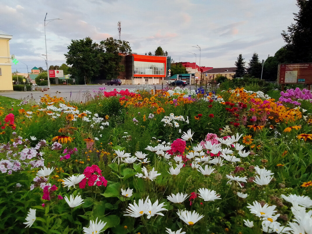 цветущее лето в городе - Сергей Кочнев