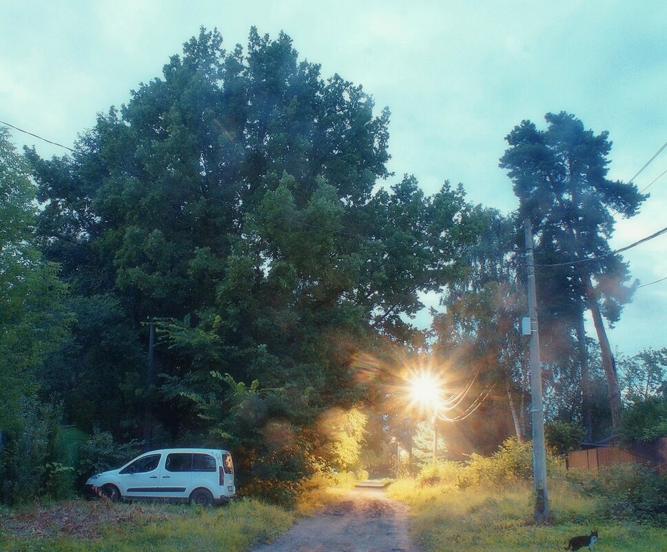 *** - Леонид leo