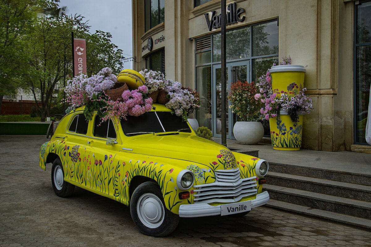Автомобиль - Анатолий Чикчирный