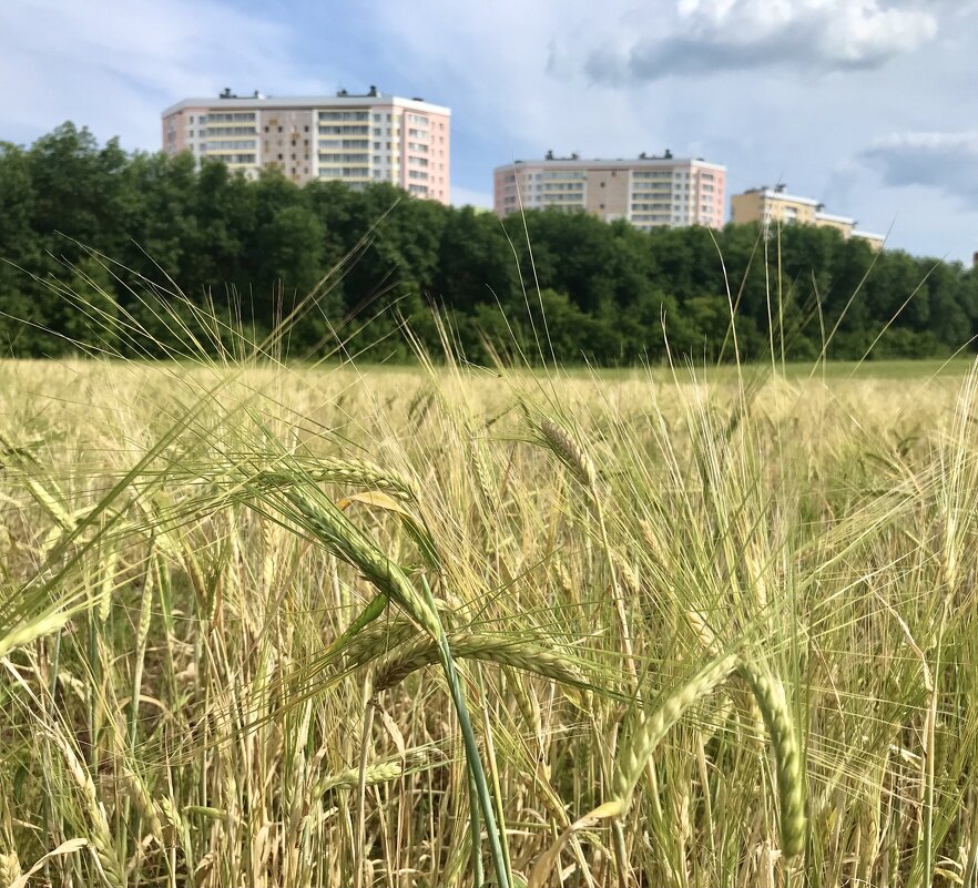 Город наступает - Татьяна 