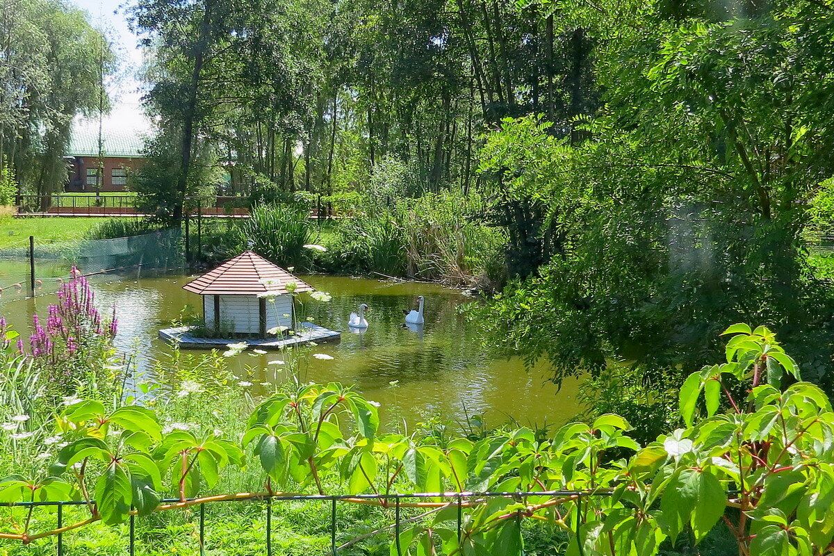 в парке Берега - Сеня Белгородский в парке Берега - Сеня Белгородский