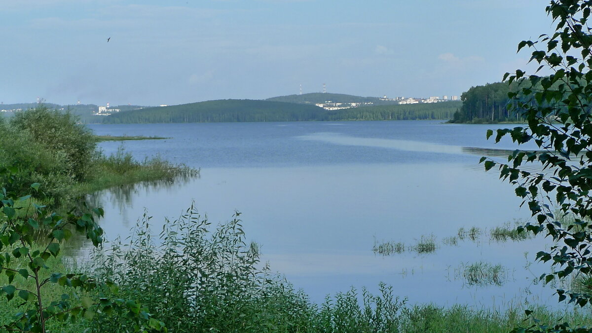 В дымке - Сергей Швечков