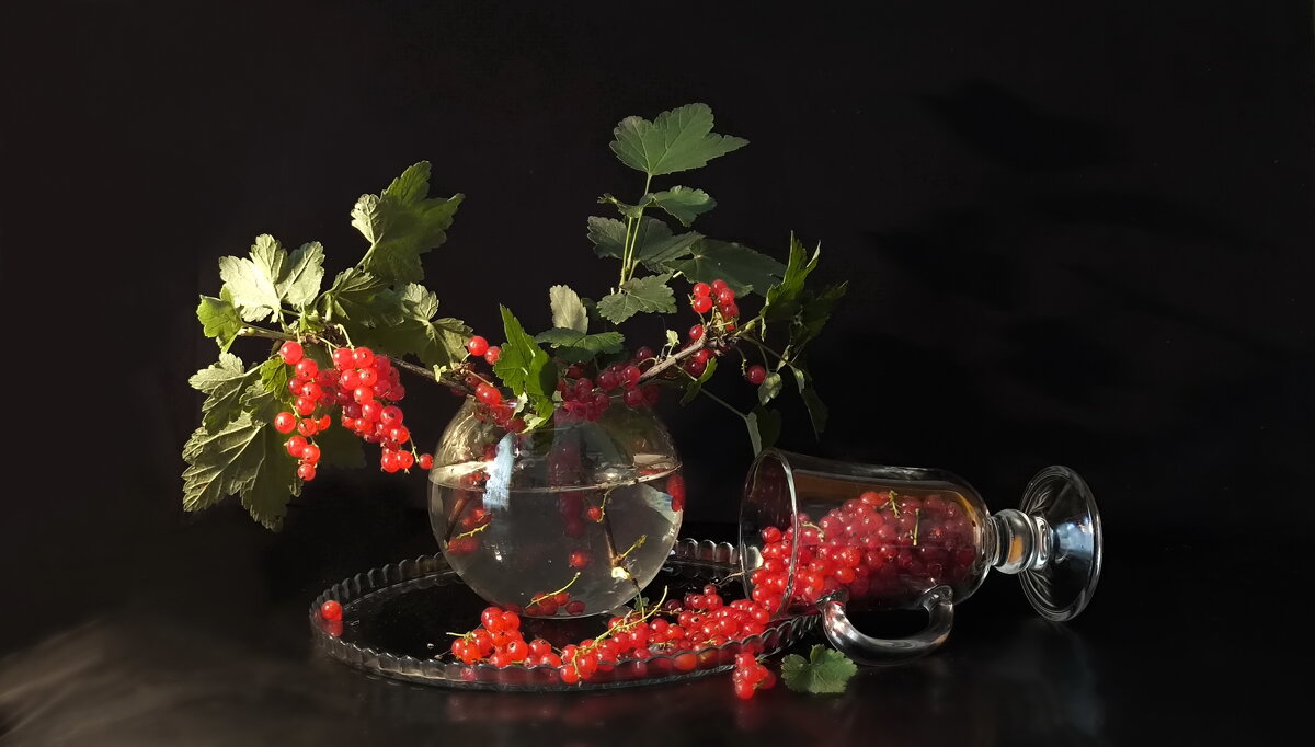 Смородины ягоды просто волшебные — Все вкусные, сладкие, даже лечебные ... - Валентина Богатко 