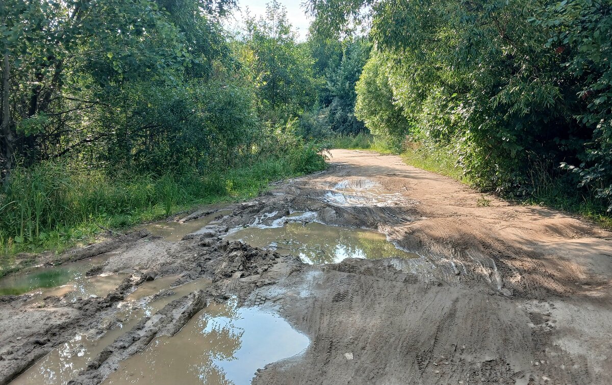 Эх, дороги... - Наталья Герасимова