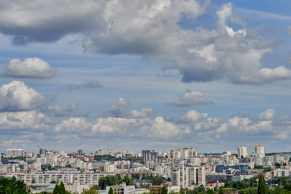 Белгород - Александр Леонов