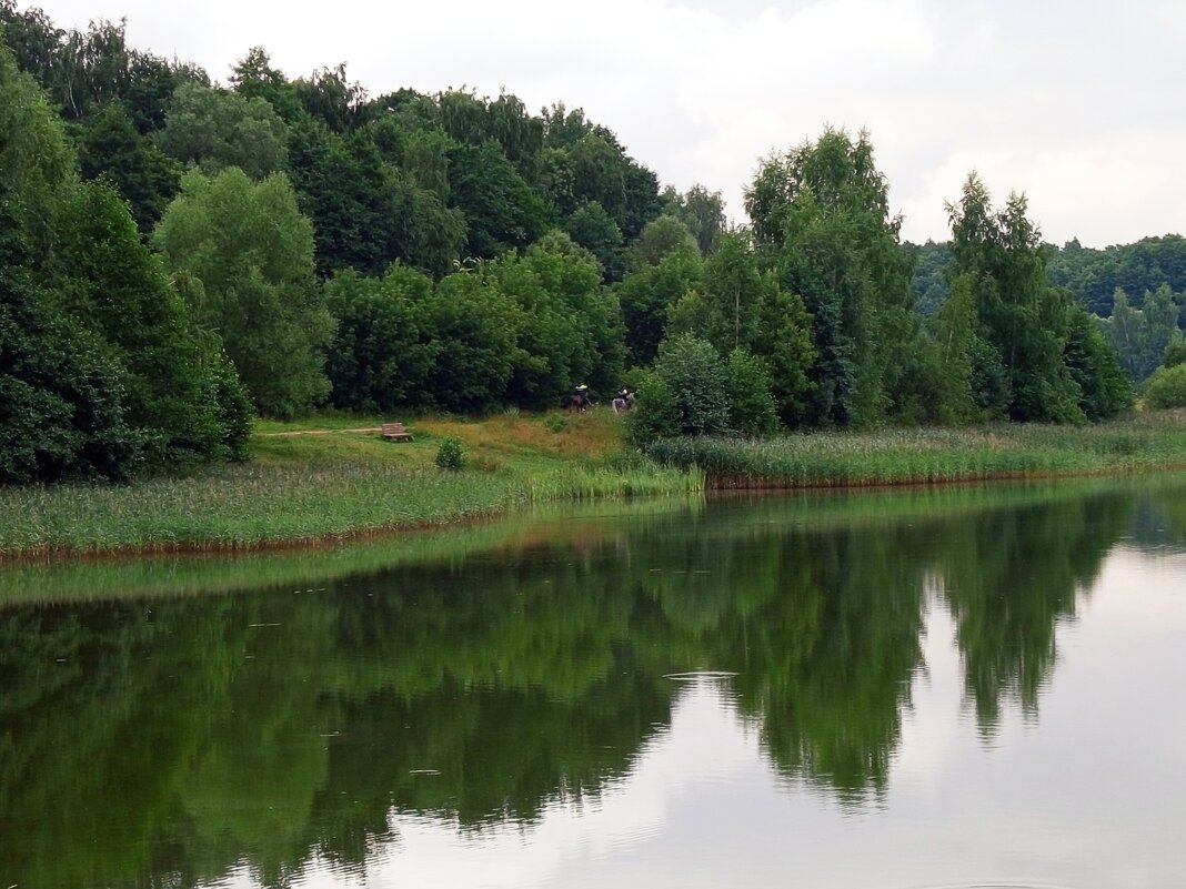 * * * - Андрей Лукьянов * * * - Андрей Лукьянов