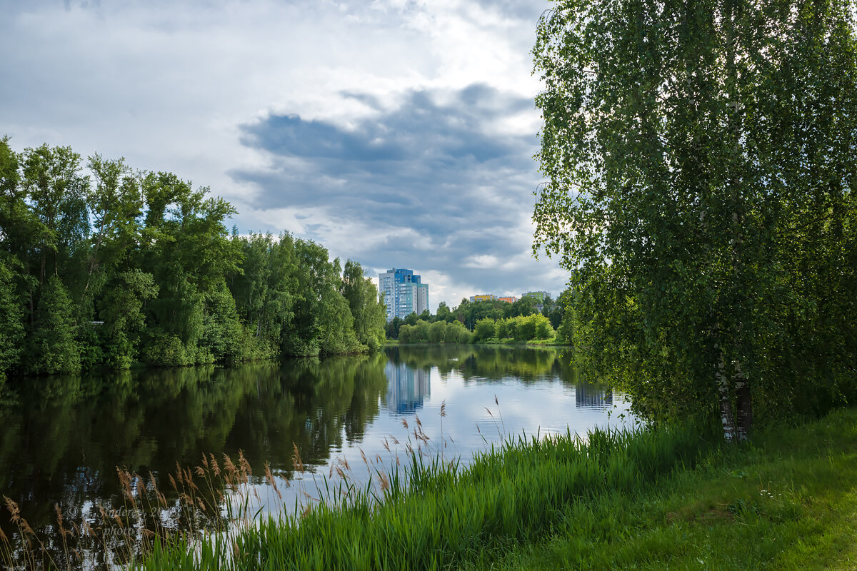 Лето на городском озере - Александр Синдерёв