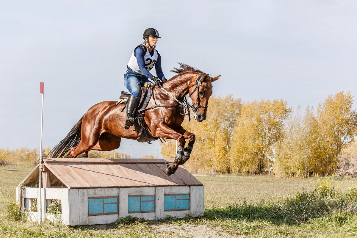 Кросс - SanSan 