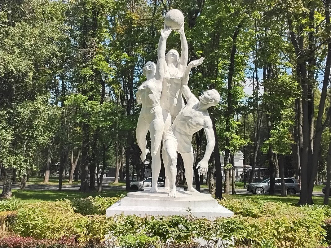 Баскетболисты - Дмитрий Никитин