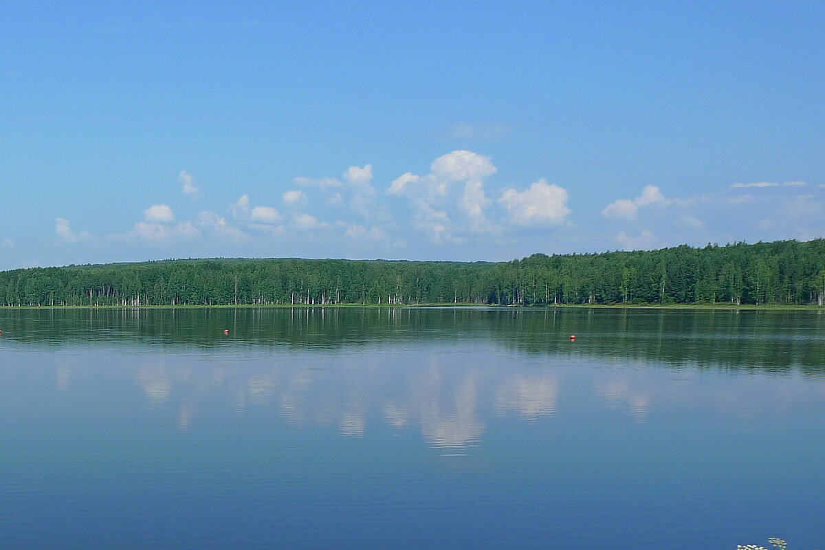 Водохранилище - Сергей Швечков