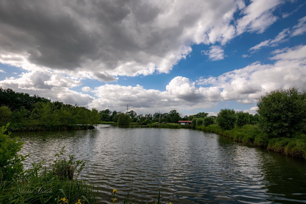 *** - Николай Гирш