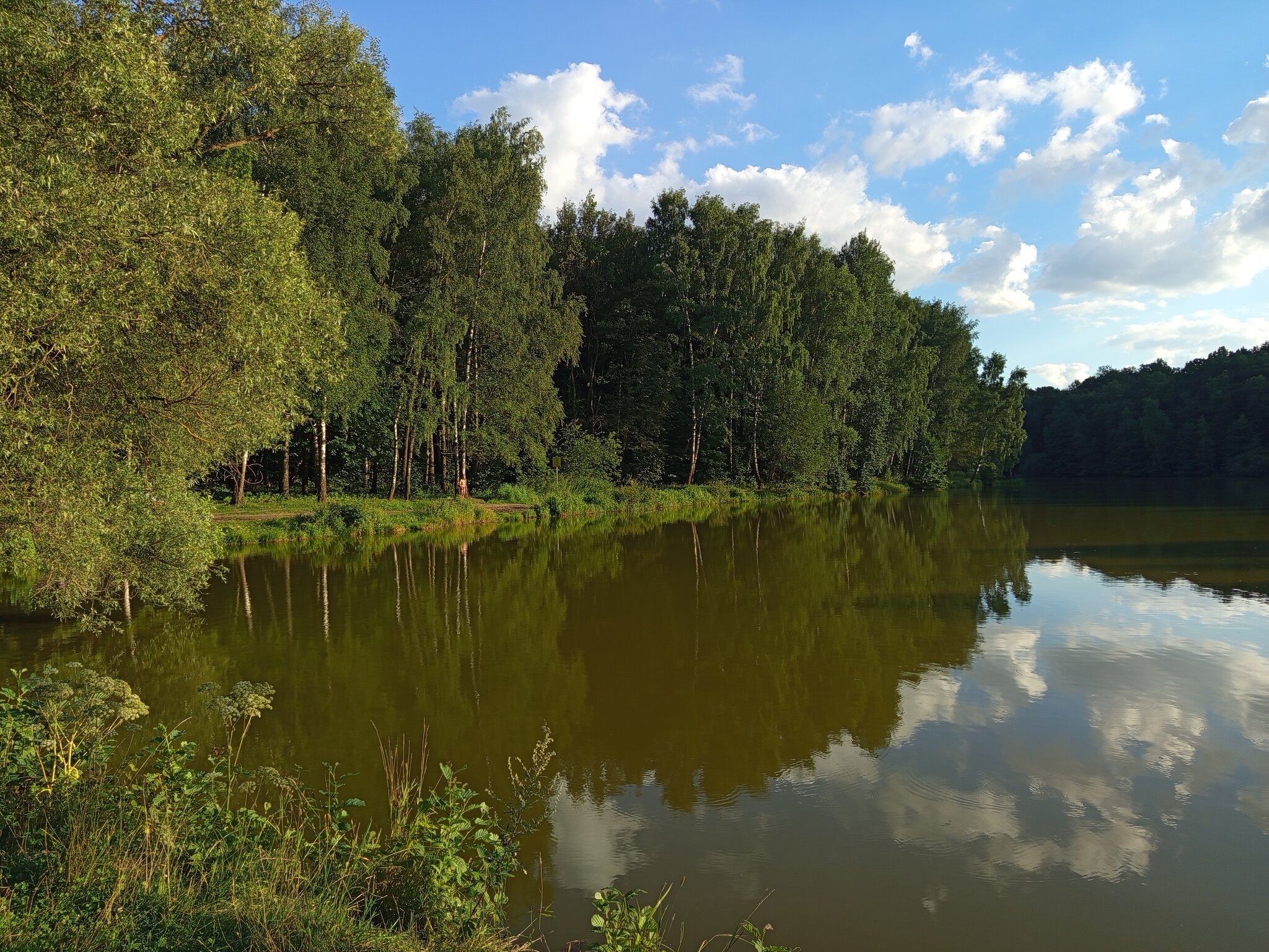 * * * - Андрей Лукьянов