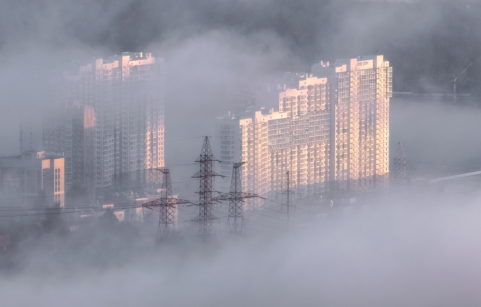Город в тумане - Марина Фомина.