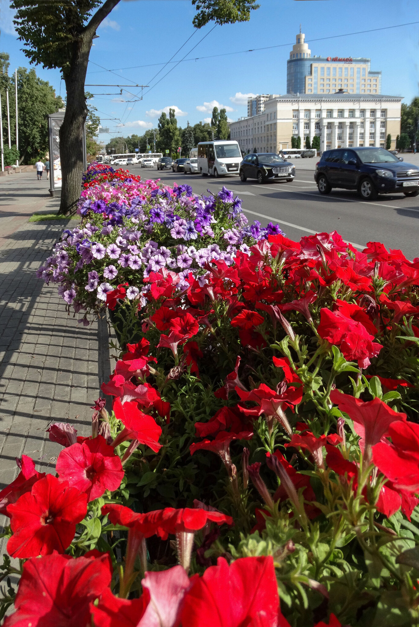 Лето в городе :: Татьяна Машошина Лето в городе :: Татьяна Машошина