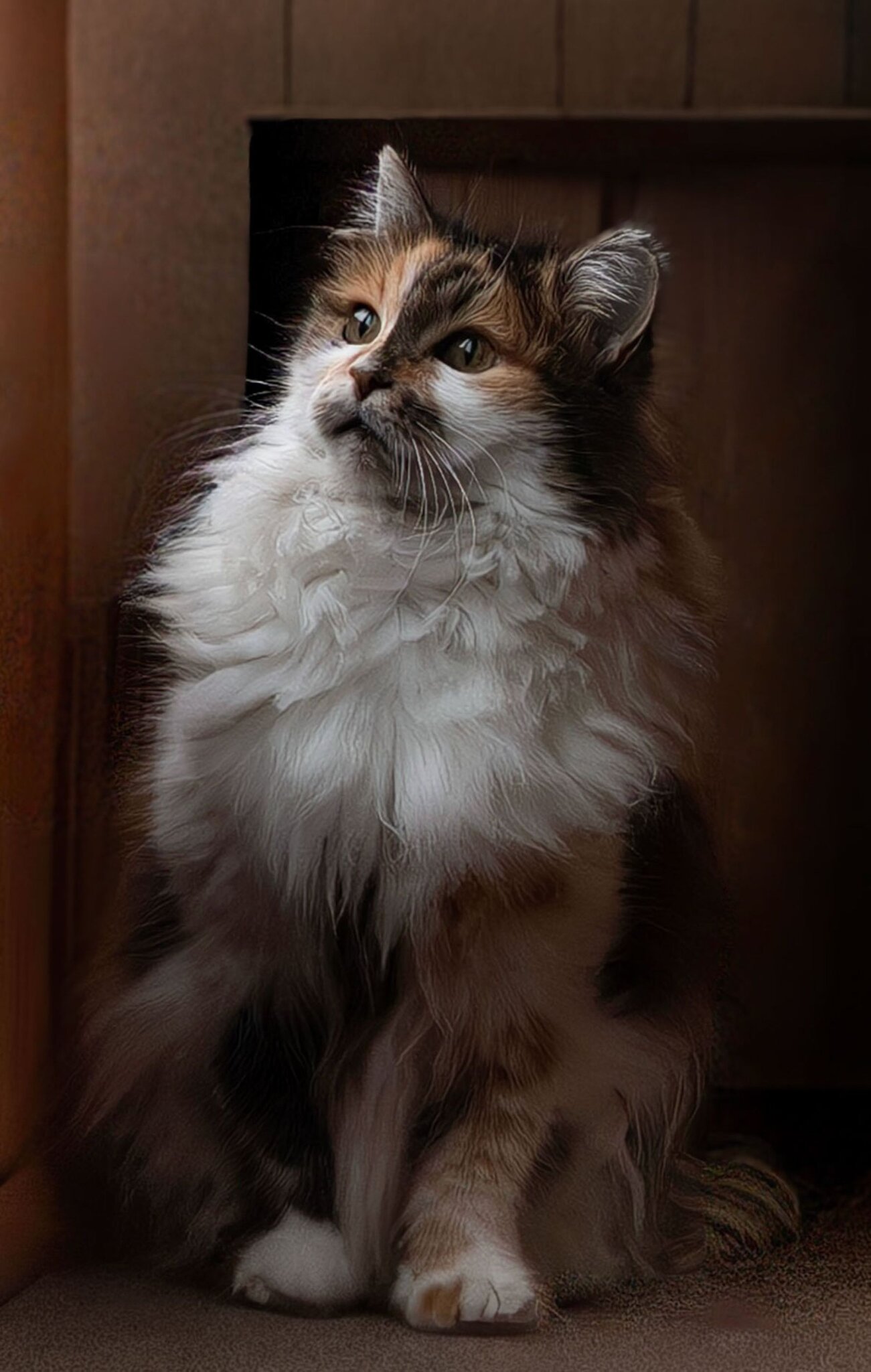Член семьи :: Vlaimir 