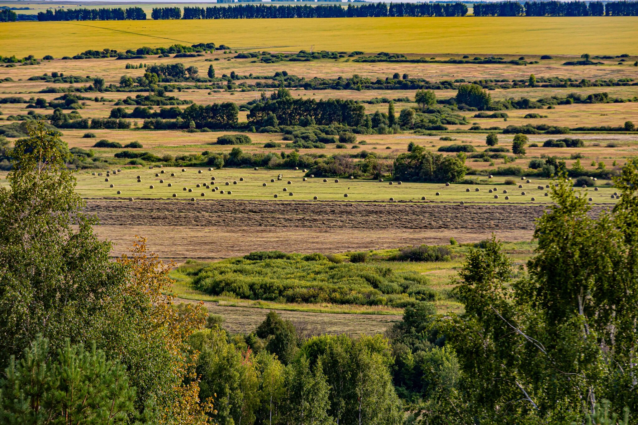 Август :: Юра Викулин