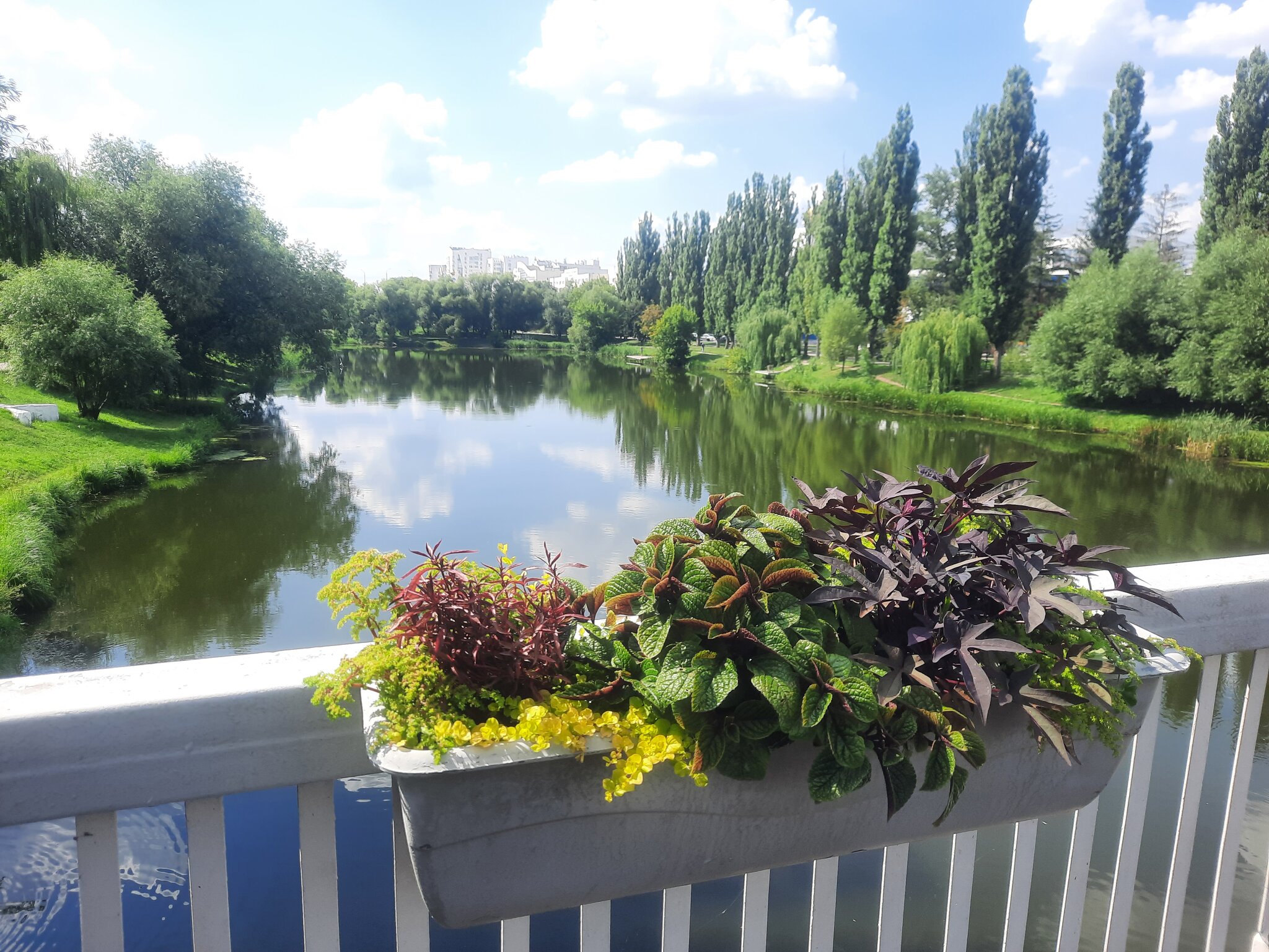 Август :: Сеня Белгородский Август :: Сеня Белгородский