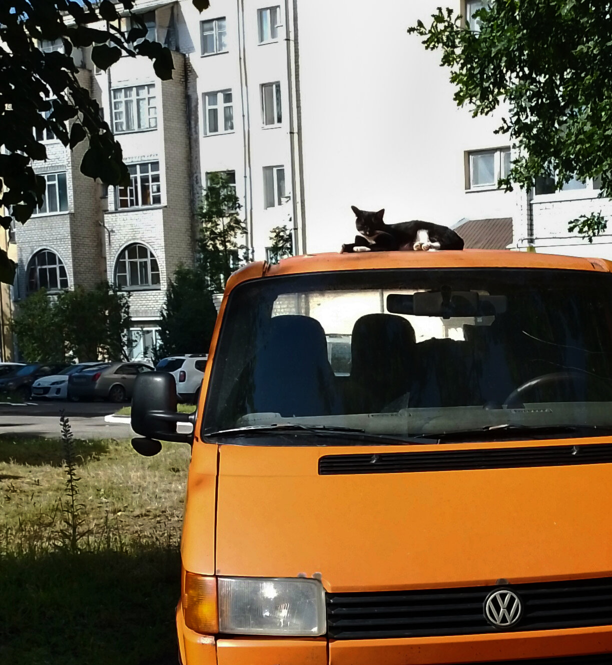 Volkswagen transporter 1992 :: Валентина Береснева Volkswagen transporter 1992 :: Валентина Береснева