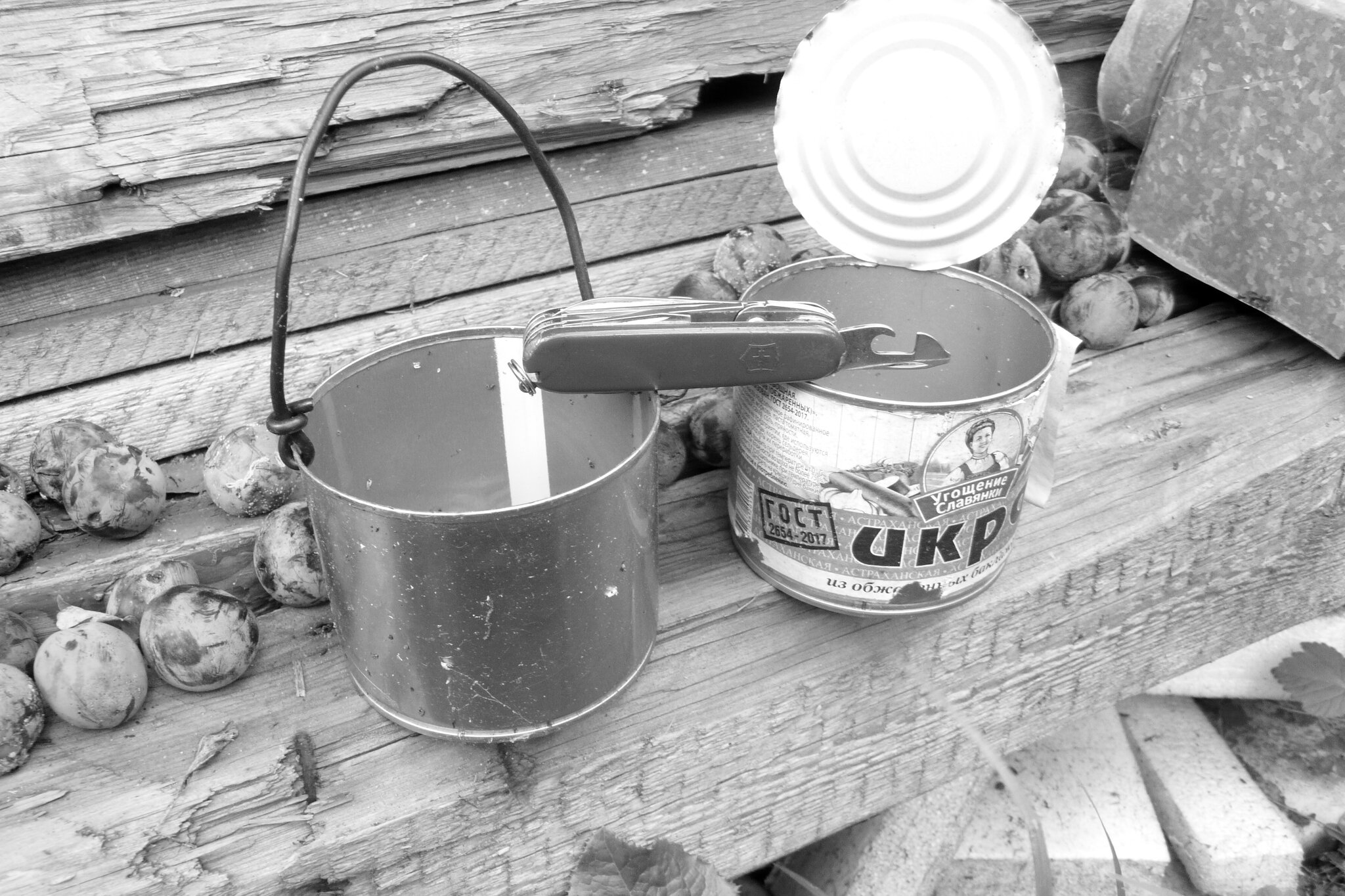 Мечты о ч/б Лейке 183. :: Михаил Елочкин Мечты о ч/б Лейке 183. :: Михаил Елочкин