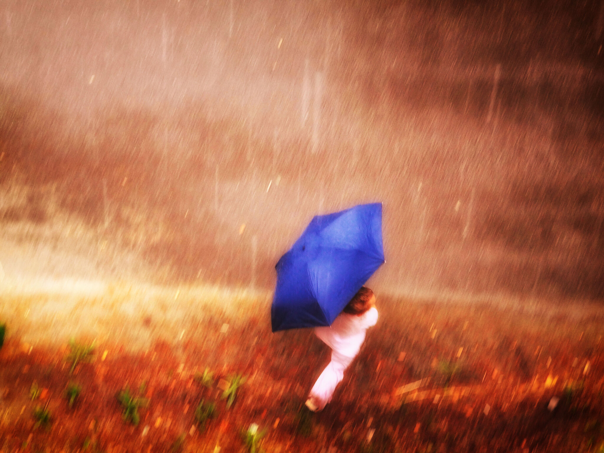 Rain, rain go away :: Maria Rainer Rain, rain go away :: Maria Rainer