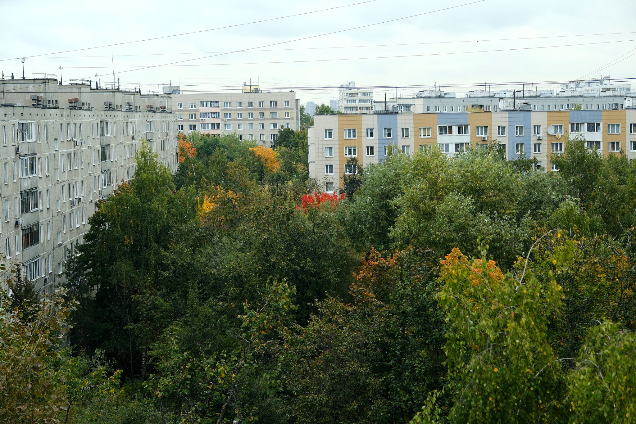 Ну вот и началось. Осень! :: Лютый Дровосек Ну вот и началось. Осень! :: Лютый Дровосек