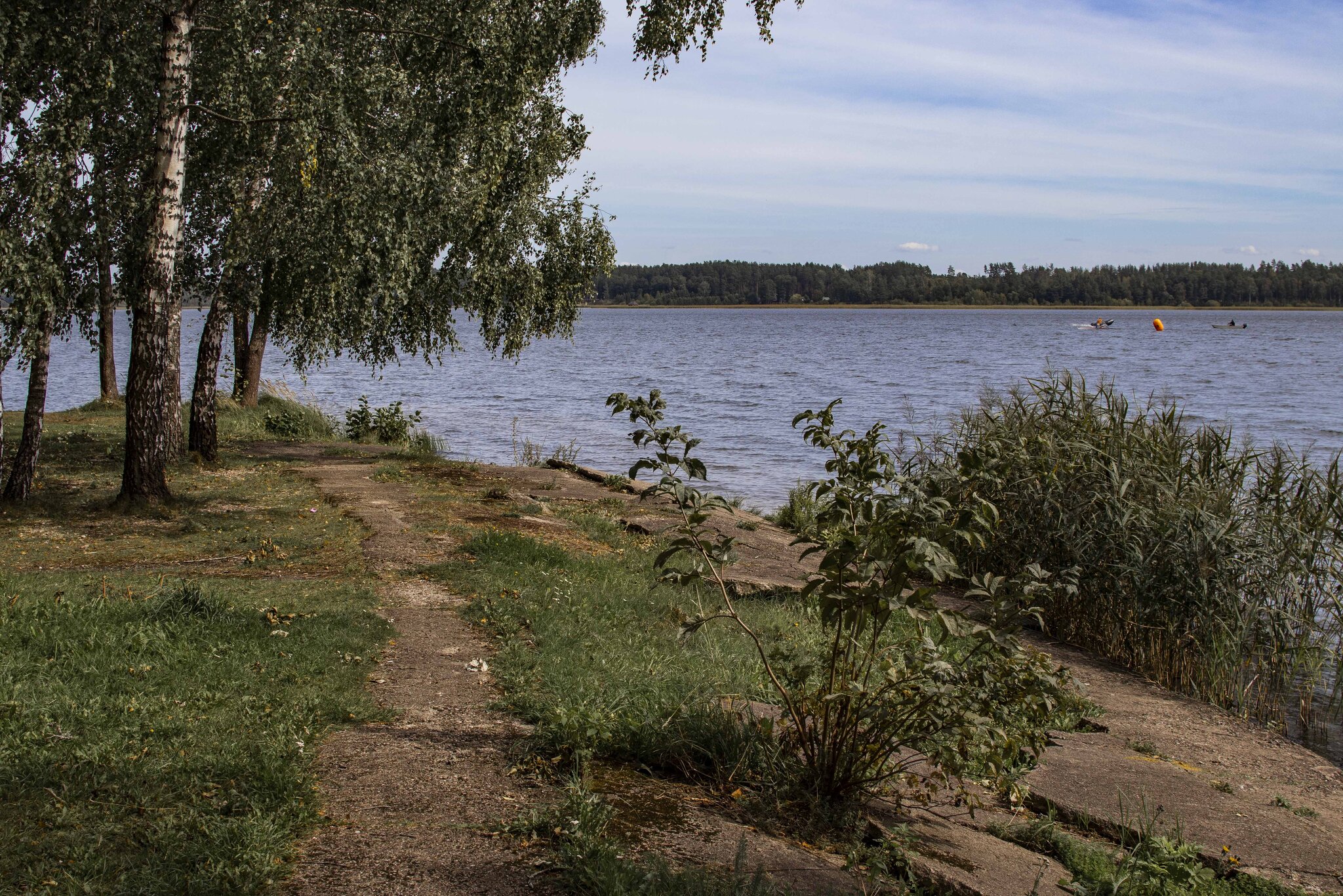 Можайское водохранилище красновидово :: Николай Можайское водохранилище красновидово :: Николай