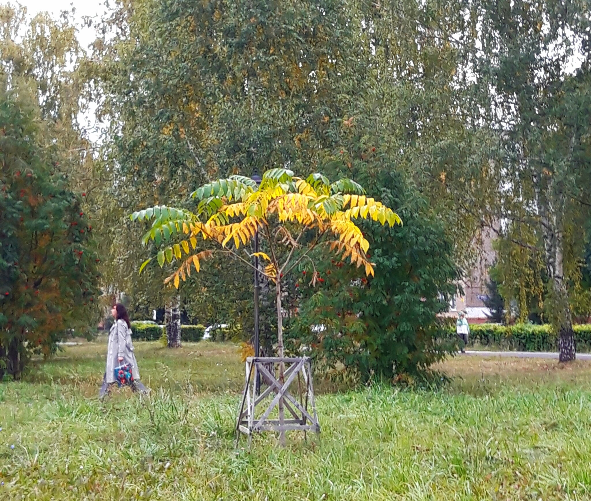 в парке :: Венера Чуйкова в парке :: Венера Чуйкова