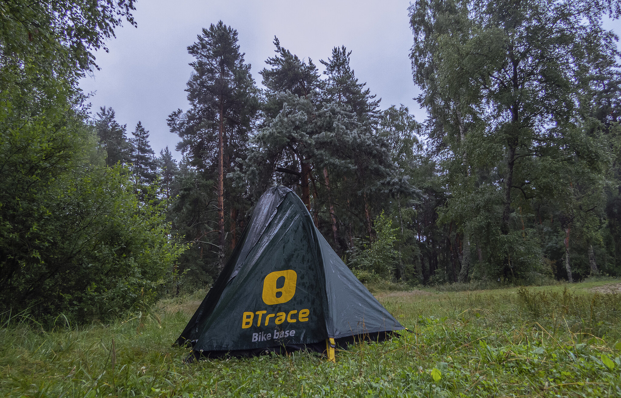 Ночью был дождь :: Сергей Цветков Ночью был дождь :: Сергей Цветков