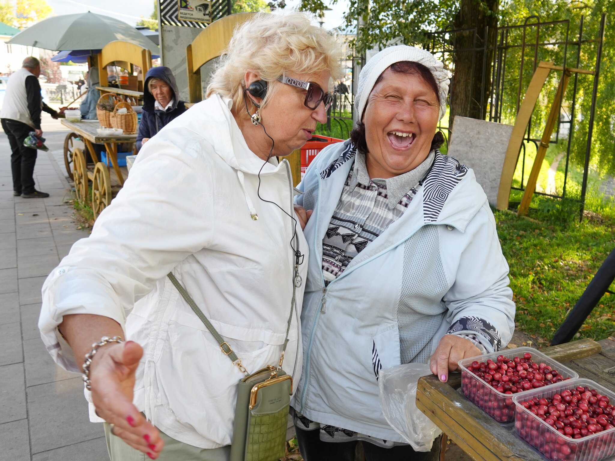 Из попавшихся в объектив :: svk * Из попавшихся в объектив :: svk *