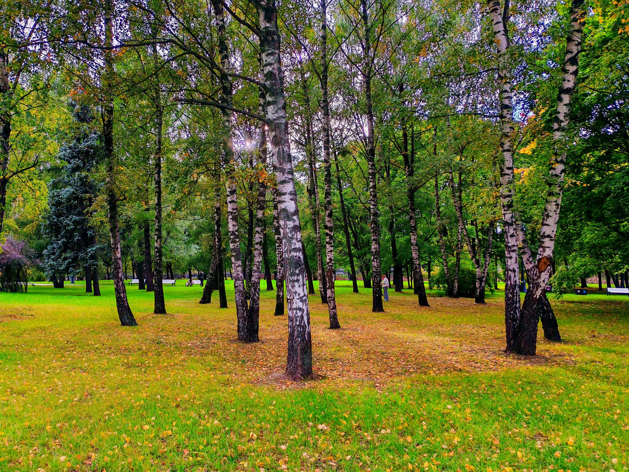 Осень в Коломенском :: АЛЕКСАНДР Осень в Коломенском :: АЛЕКСАНДР