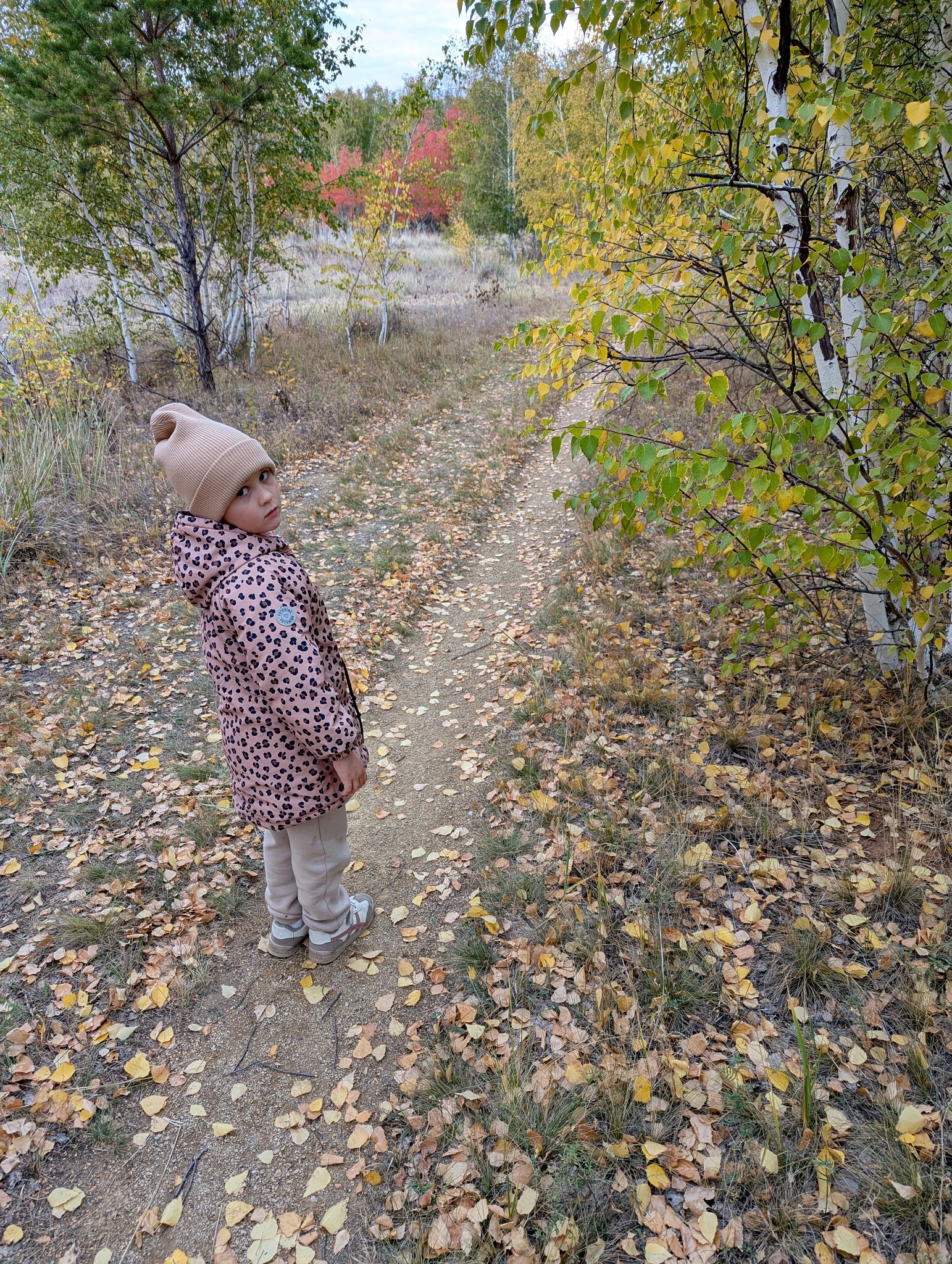 Тропинка детства :: Андрей Хлопонин Тропинка детства :: Андрей Хлопонин