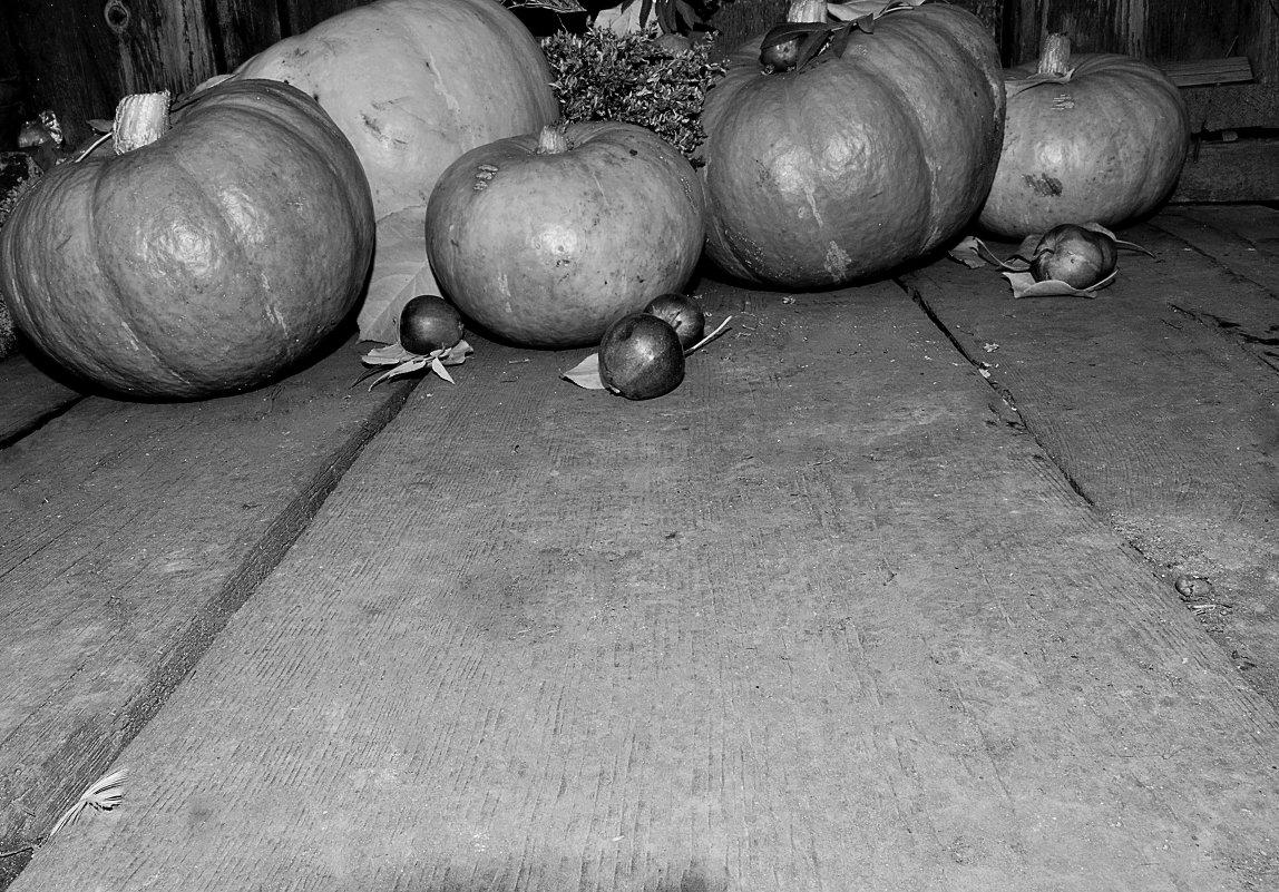 Урожай - Наталья Хохлова Урожай - Наталья Хохлова