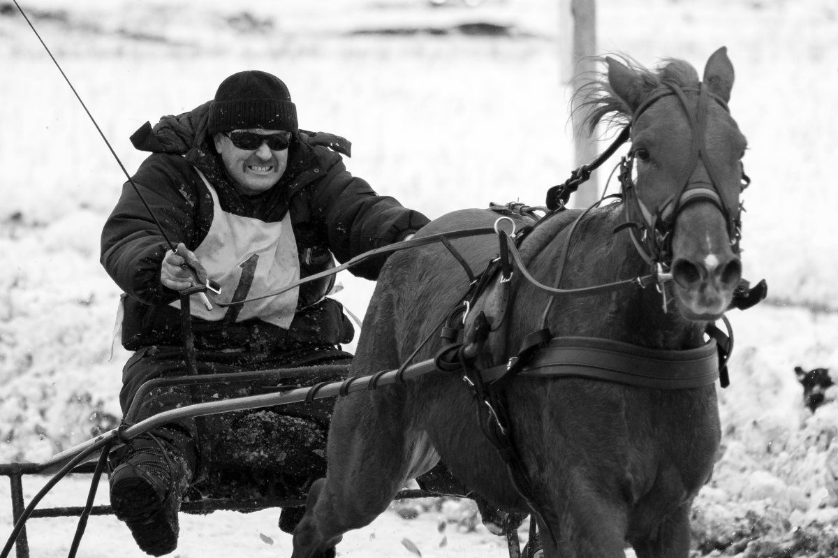 * - олег воробьев