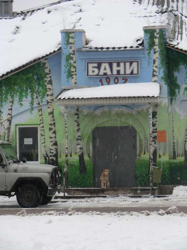 Бани - Владимир Павлов