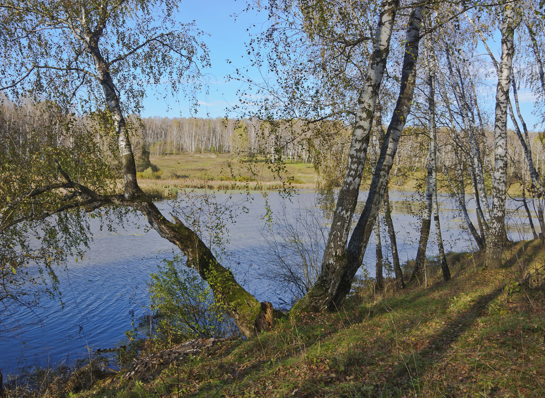 ... - Анатолий 71 Зверев ... - Анатолий 71 Зверев