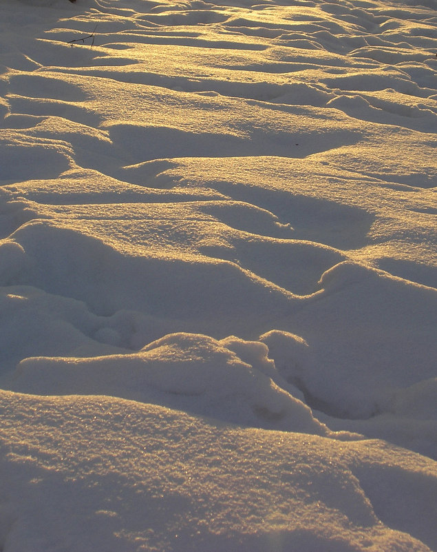 Снег - Наталья Осипова(Копраненкова) Снег - Наталья Осипова(Копраненкова)