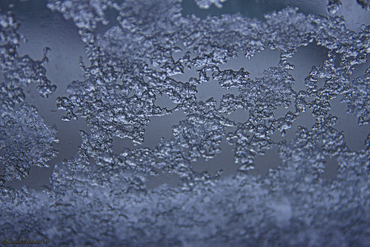 Зимние узоры - Леонид Лившиц