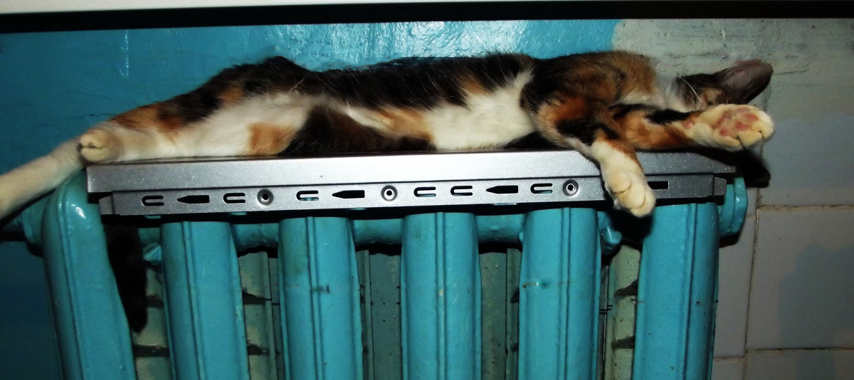 мурка - Сергей Кочнев