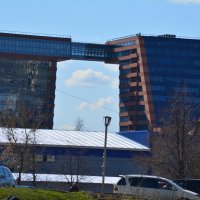 гуси 1 :: Павел