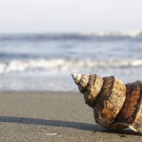 Море :: El Esmerejon