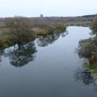 Пасмурная осень :: Евгения 