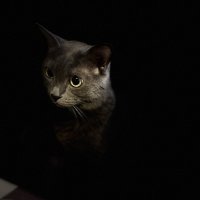 Портрет :: Татьяна Юрьевна Иванова