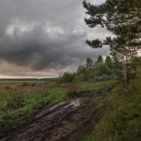 Холодное лето :: Валерий Туманов