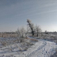 Зимняя дорожка :: Андрей Хлопонин