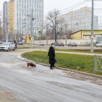 Прогулка :: Александр Синдерёв